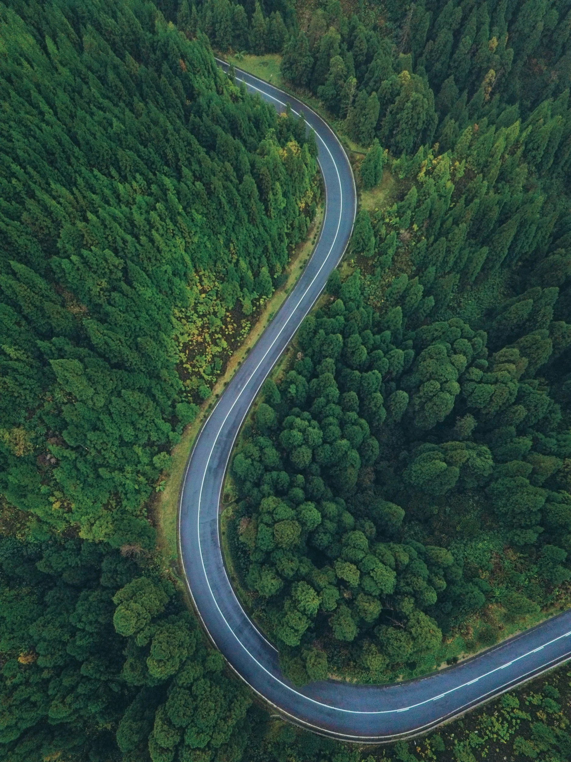 Aerial view of a lush green landscape symbolizing business growth potential